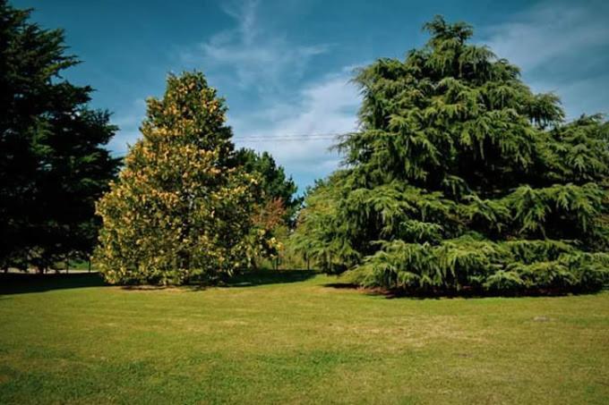 Village Park Тандил Экстерьер фото